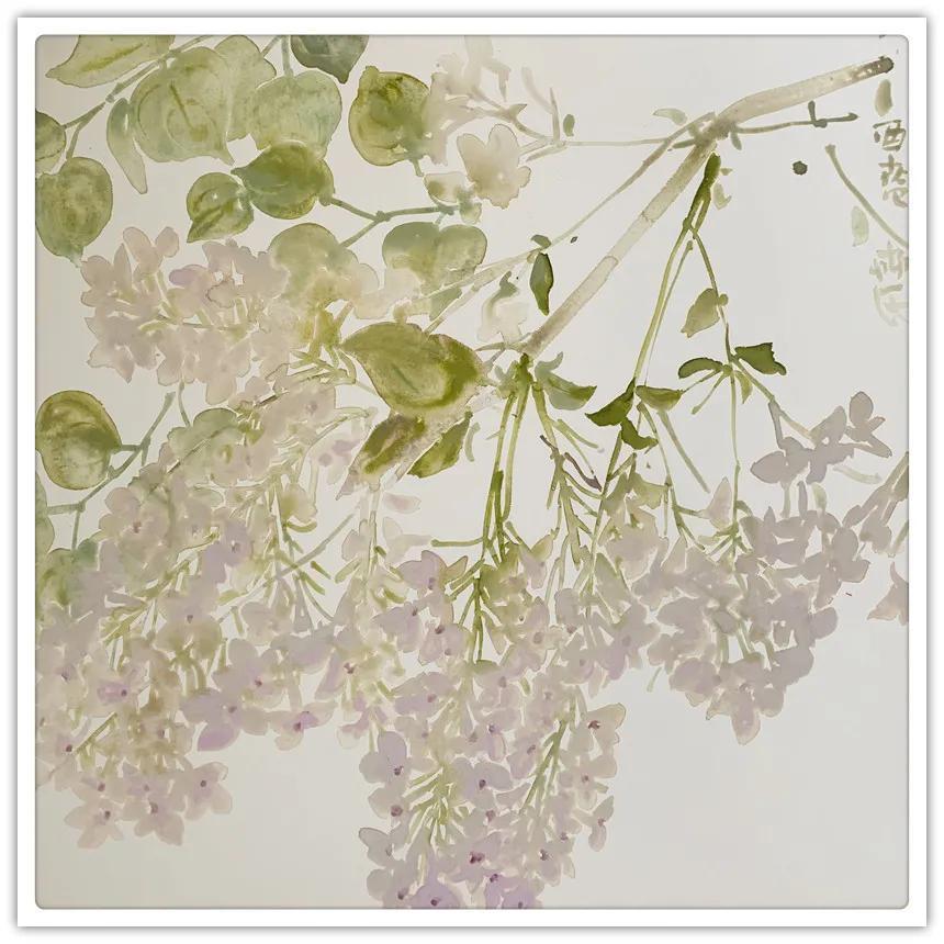 《中华国粹·翰墨经典》当代著名书画家系列|申卉芪| 囡囡系列