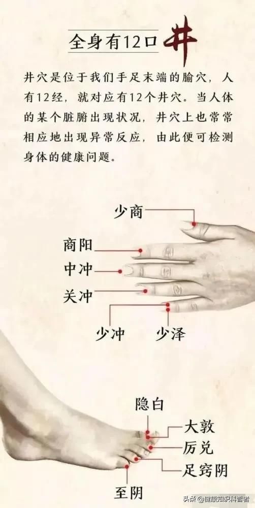 五输穴|六腑分布在指趾末端的六个井穴