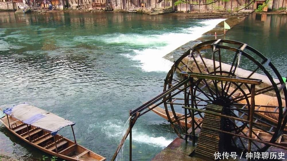 黄河岸边有一种宝贝,如果不加以保护,相信很快就看不到了