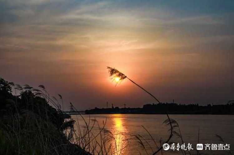 这里的落日真美！济南黄河夕阳西下绚彩多姿，红霞飞满天|情报站| 济南