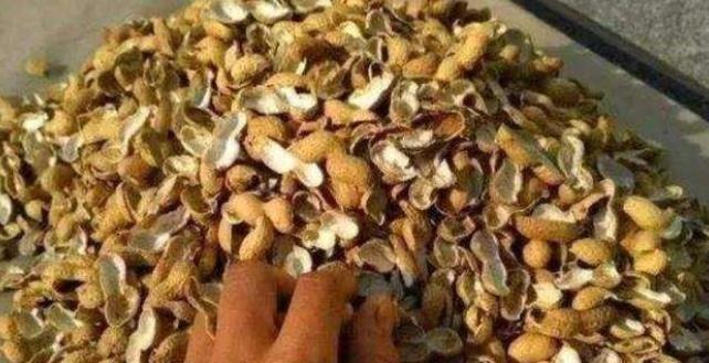 家庭养花必不可少的4种“好材料”,不花一分钱,配土透气又透水