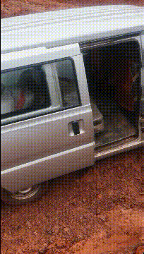 |搞笑GIF:女朋友很漂亮 就是脑子有点不好使