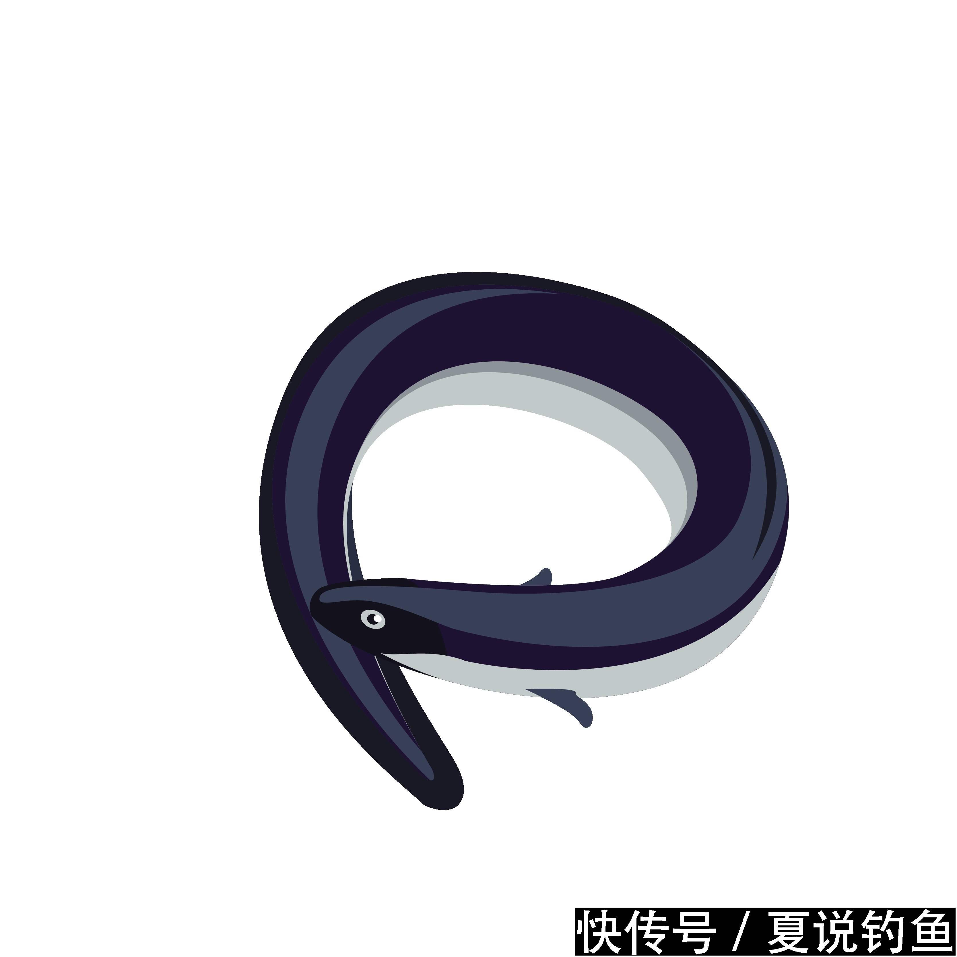 钓鱼不易,养活鱼更不易,记住8个要点基本没问题