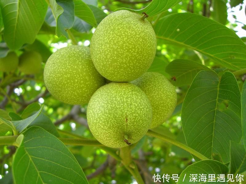 不想“凌晨3点醒过来”,多吃此类,让你一觉“呼呼”睡到天亮