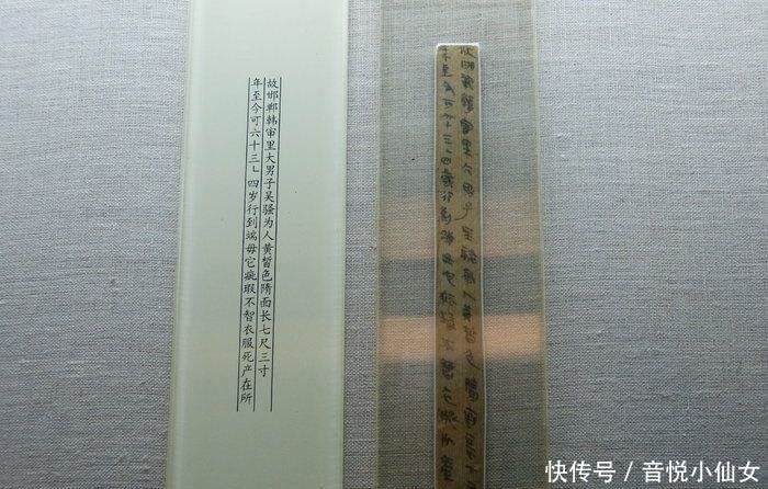 穿越|秦朝的户籍制度有多完善？穿越人士可能活不过一集