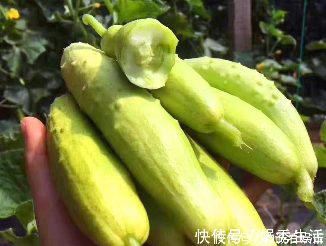 腌黄瓜,最忌直接加盐,难怪黄瓜不脆不入味,大厨如此做才对