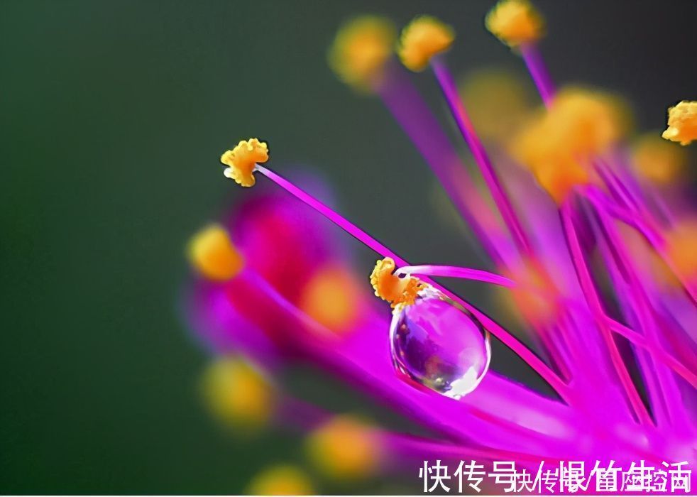 苦难|啥日子出生的人,苦难中磨砺,当下越艰难,未来就越有成就