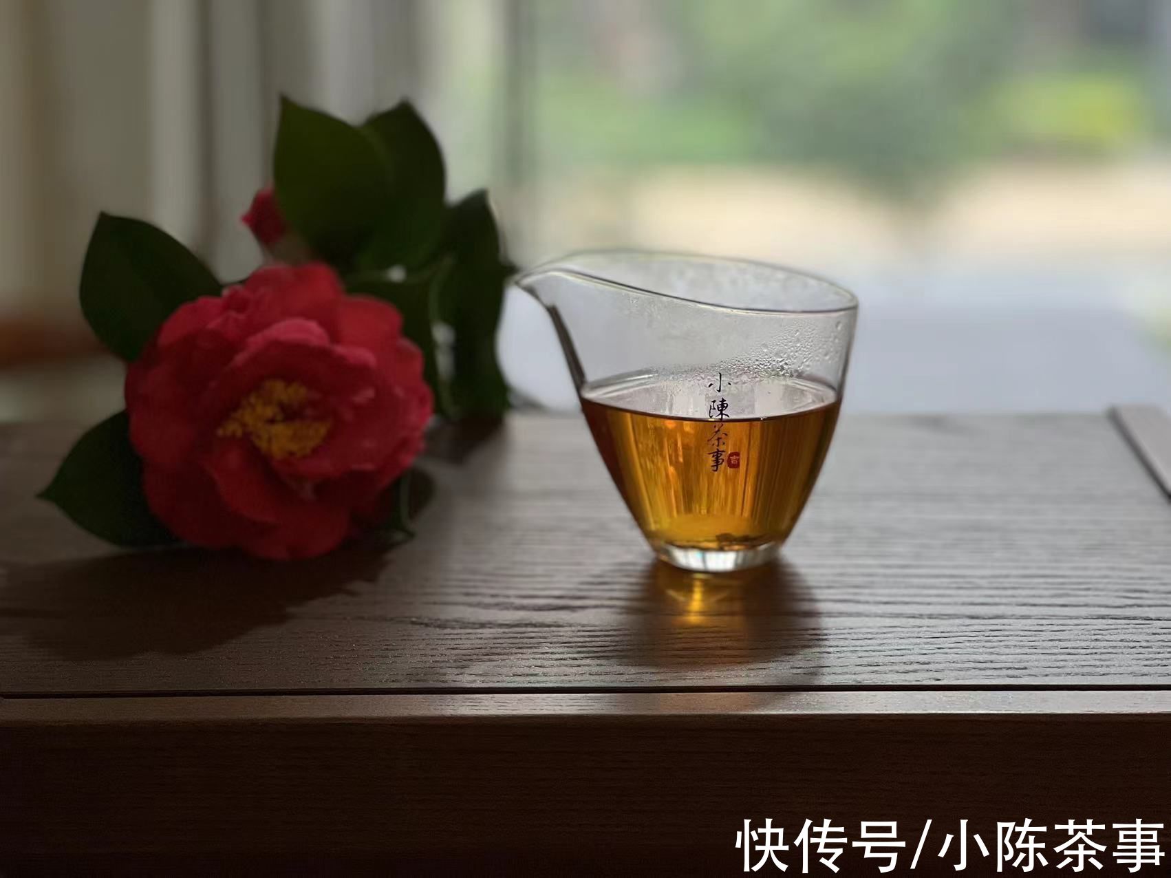 节气茶|白茶不是只有4个品类吗？荒野茶、高山茶、节气茶，分别是什么？