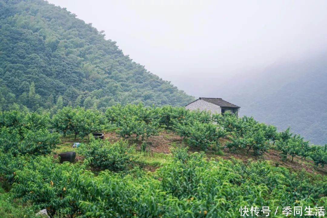 漂流|这个浙江宝藏小城，藏着碧海蓝天、森林秘境、宁静村落