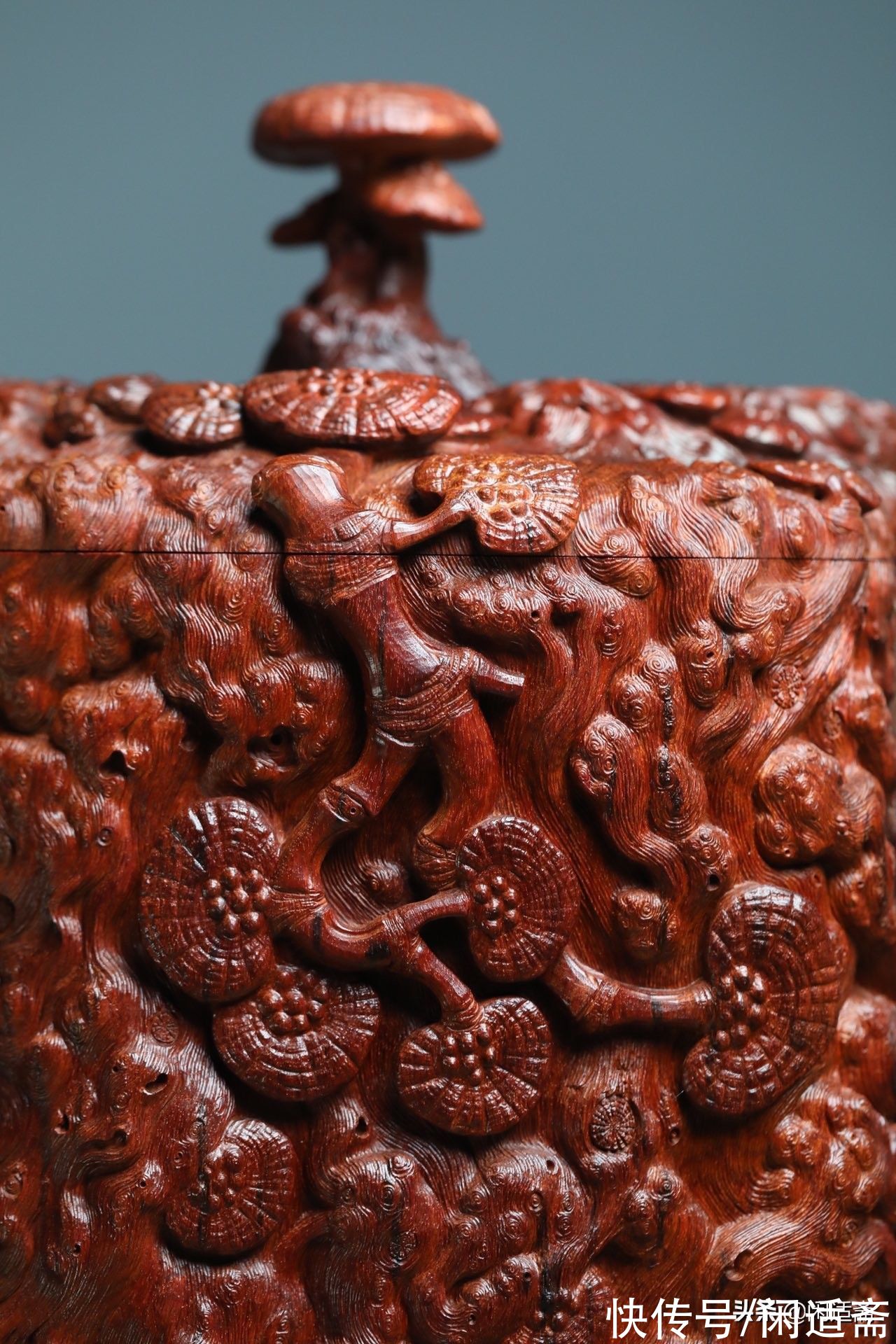 灵芝$茶室清赏，小叶紫檀，满雕灵芝树瘤，大茶仓