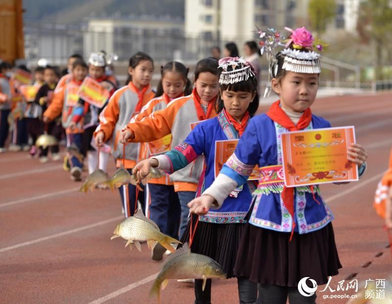 广西三江：奖励活鲤鱼 勤学跃龙门