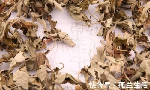 慢性疲劳|脚上老茧不用慌,1个小妙方,助你轻松解决!但4类人并不适宜!