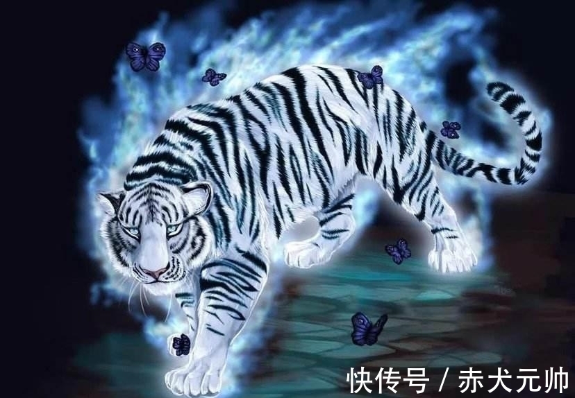 星象#虎年说虎，四兽之中人们最喜欢的不是青龙，而是白虎，原因何在？