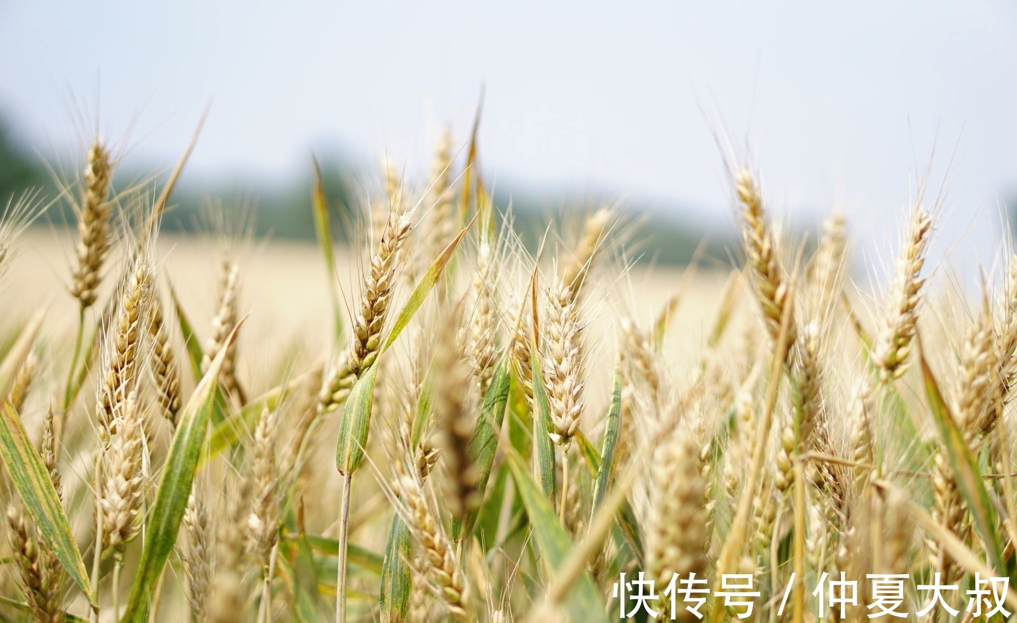 云从龙$10句流传很广的民俗谚语,句句大白话,却讲出基本的为人处世道理