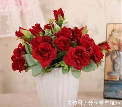 家里最好别养这几种花,对住里面的人很不友好,别一错再错了!