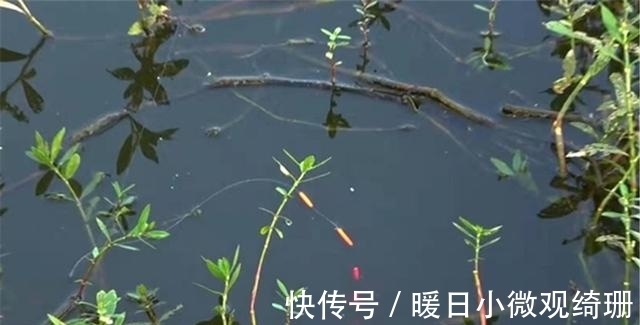 硬道理|七星漂的调漂技巧:差不多就行,不拘小节,毕竟上鱼上钩是硬道理