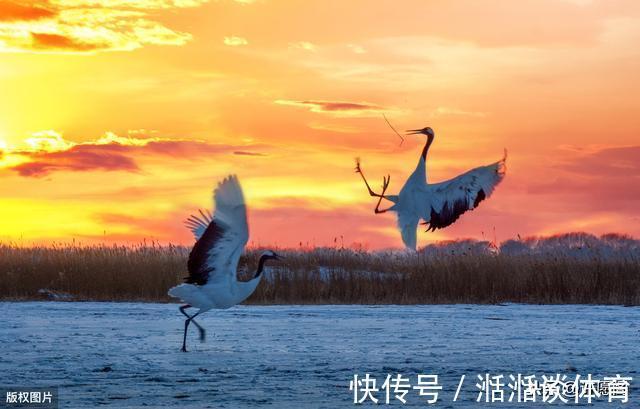 失眠|60岁以后,5件事不得不怕、不得不防!记住,并转告给老友们