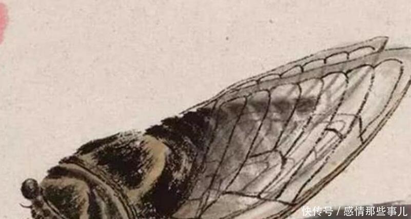 难怪|齐白石画《蝉》如指甲盖般大放大10倍惊呆了,难怪值8亿