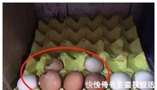 店员|孩子在超市里打碎一盒鸡蛋,店员要求10倍赔偿,母亲的做法被称赞