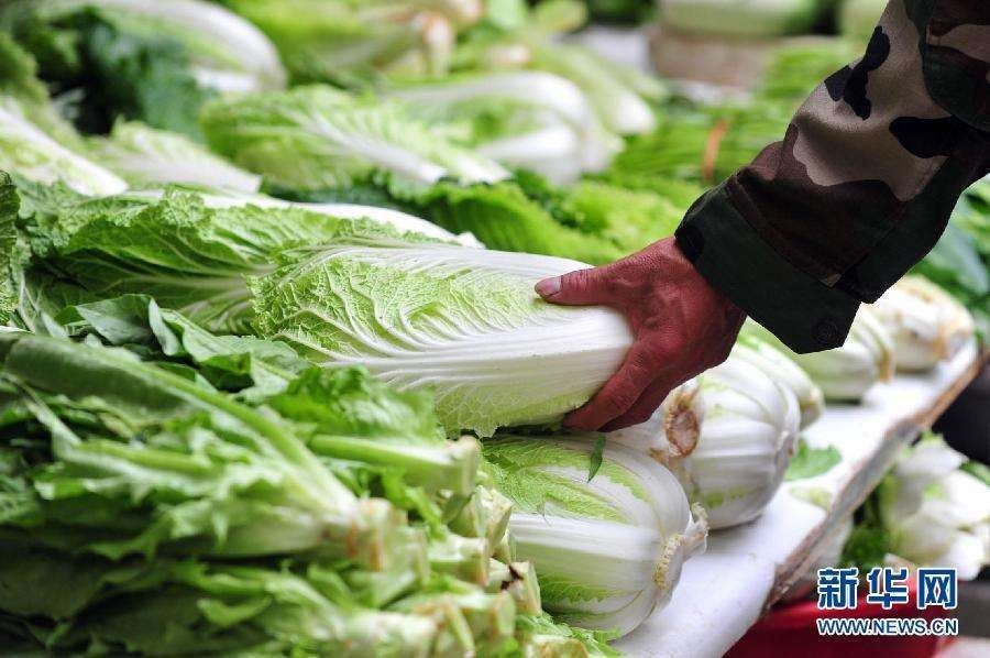 功效|寒冷干燥的天气里,医生建议吃这些蔬菜食疗