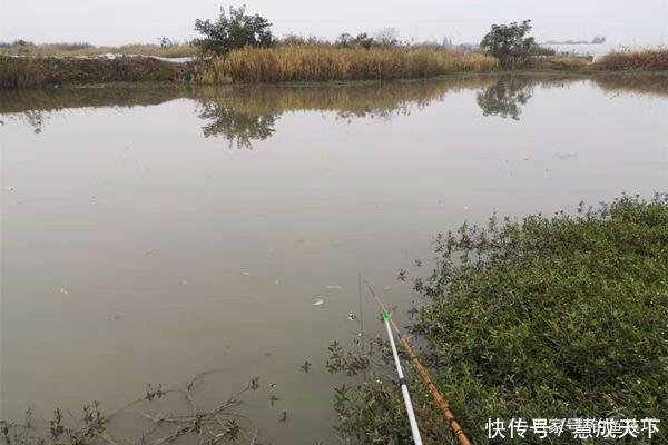 鲫鱼|冬钓大鲫鱼,钓深还是钓浅天冷要找这种地方,鲫鱼在这里扎堆