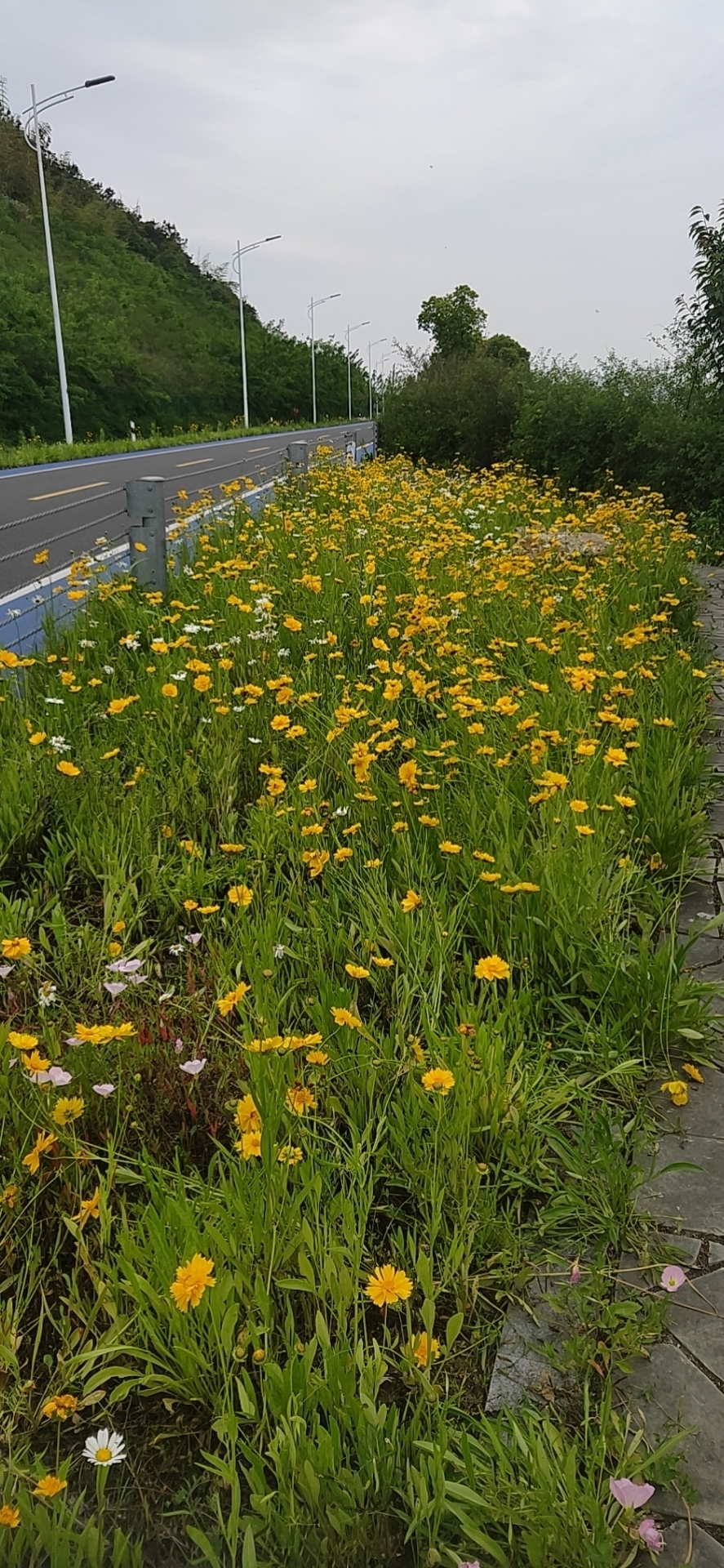 上有天堂下有苏杭，苏州西山处于慢节奏生活的地方，适合修身养性