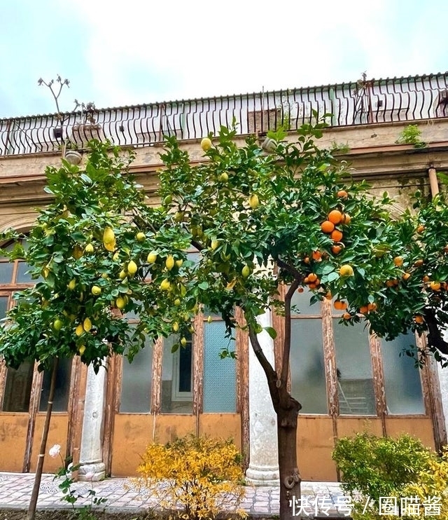 迈克尔杰克逊@“活久未见”的28张照片,相当涨姿势