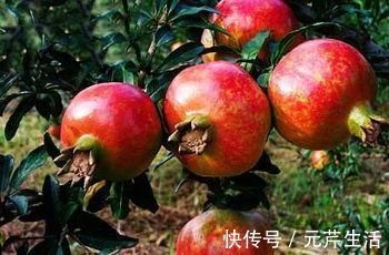 克星|前列腺炎的“克星”被找到，男人尽量多吃，或能让前列腺变的更好