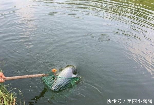 钓鱼时，只要你掌握这4大原则，不愁钓不到鱼！