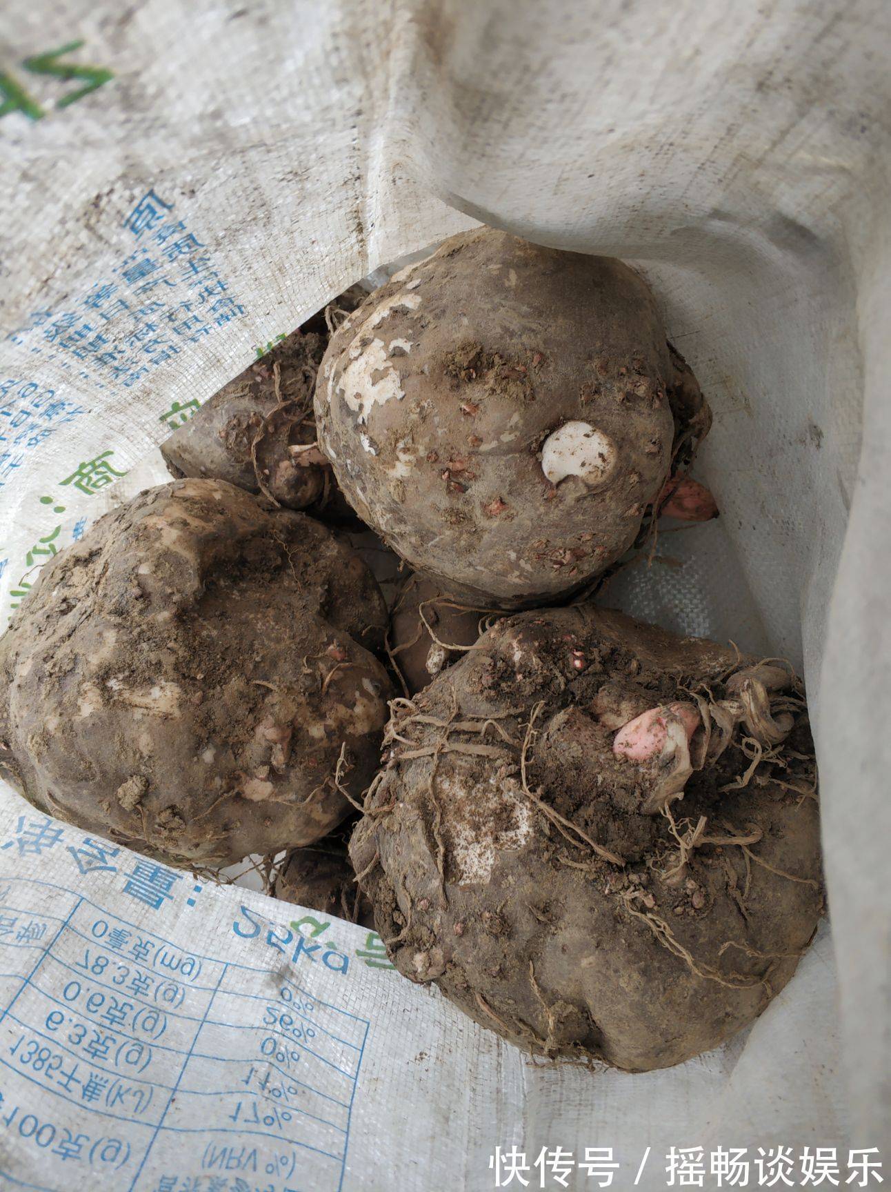 型糖尿病|糖尿病患者注意，常吃这些果蔬，血糖稳稳的！