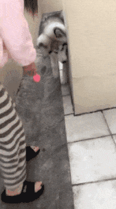 |搞笑GIF:同样都是妹子 差距咋就那么大呢