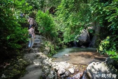 线路|“牛”启新年，花样玩法！六条线路畅游慢客长泰！