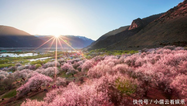 大唐|阳春三月，春回大地，三月赏花好去处