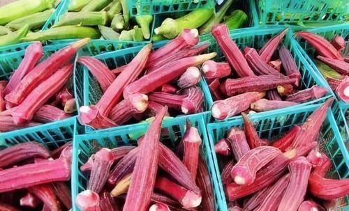 果蔬菜|秋天养生,多吃好的食物,皱纹淡了,大肚子不见了,更显年轻了