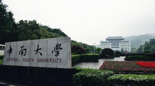 发展最快的3所大学，都是靠合并增长实力，就喜欢合并医学院