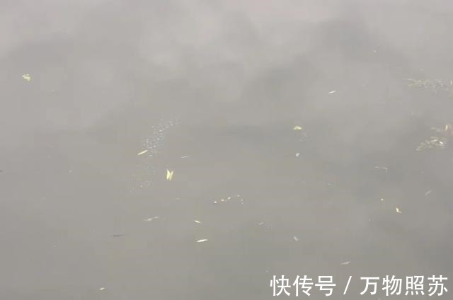 垂钓最爽的5个时刻，正常人难以理解，钓鱼人直呼过瘾