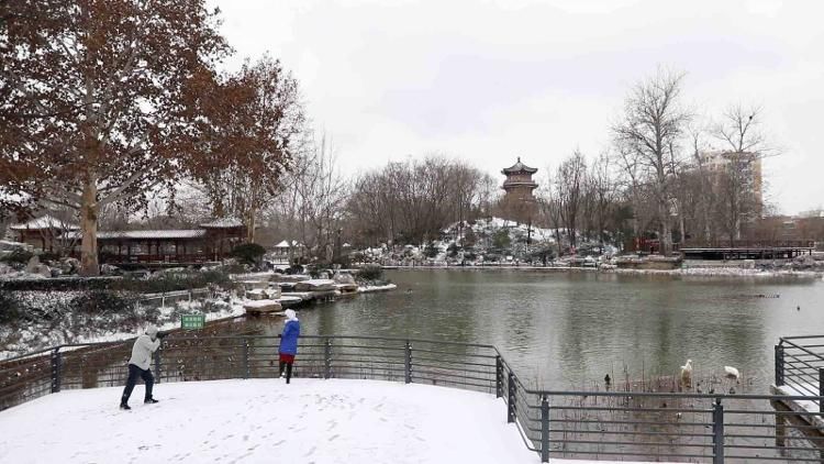 赏景|寻美淄博丨解锁赏景新姿势 实拍风雪中的一幕幕美景