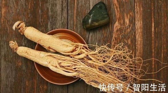 泡水|长期用麦冬、人参、五味子一起泡水喝，这个好处意想不到