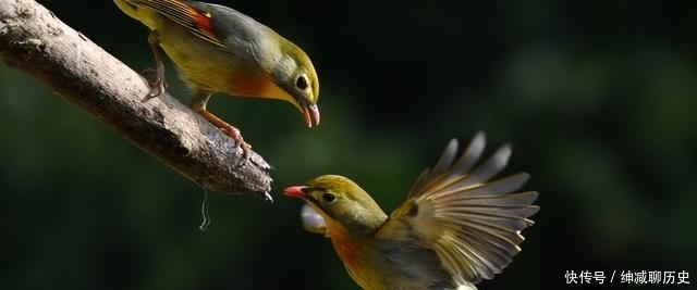 a8684|不要说生活无聊,也不要说人生平淡,一个人无事,就是最大的吉祥