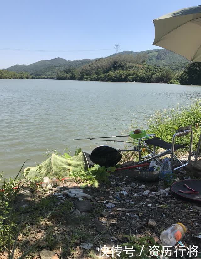 春季黄尾正狂口，各种水域都会有，攻略及钓法分享