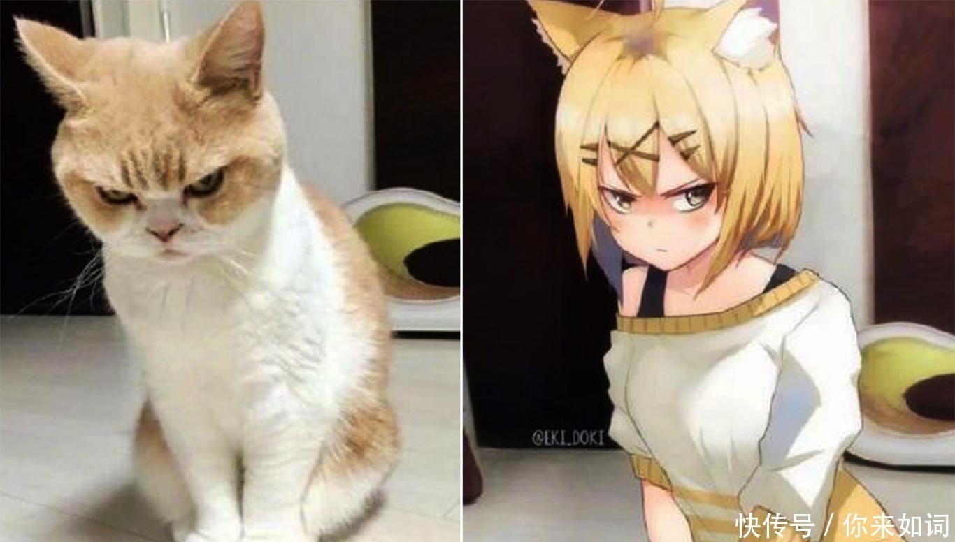 画师们|当动物被画师二次元化,可盐可甜可帅气,还是纸片人更让人心动
