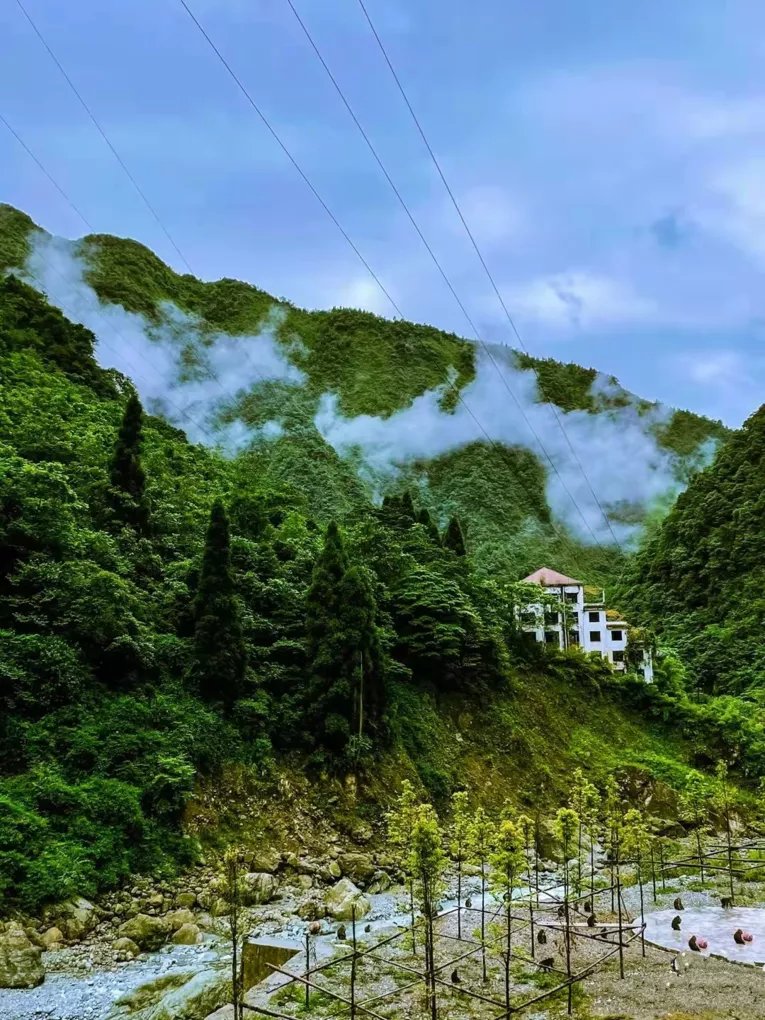 龙门山脉|走进天府旅游名村｜枕山望水，茶香悠悠