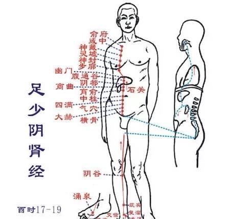  经上班时间|治百病经络大全：身体不舒服了，指导你拍哪条经络！疾病一扫光