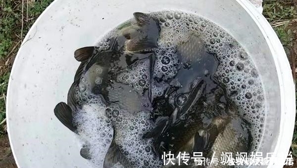 七星漂钓组的搭配和调漂技巧，野钓鲫鱼最靠谱钓法，钓鱼人必学