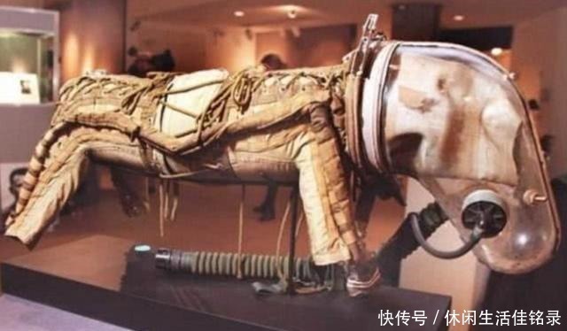 太空 62年前,苏联把一只小狗送上太空,后来这只狗的结局如何