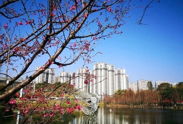 政策性|政策性住房新政来了!总建筑面积占比≥10%!现征求意见中 →