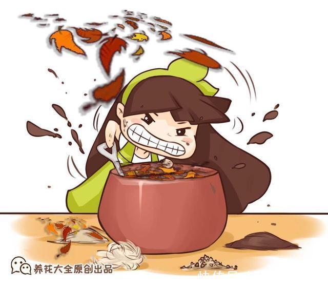 路边捡点它,开水一烫扔盆里,养花10年不烂根!