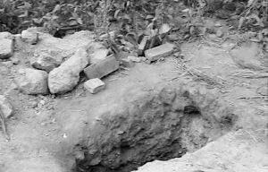 葡萄酒|叶茂台发现辽代陵墓,出土装有千年葡萄酒的瓷瓶,专家还尝了一口