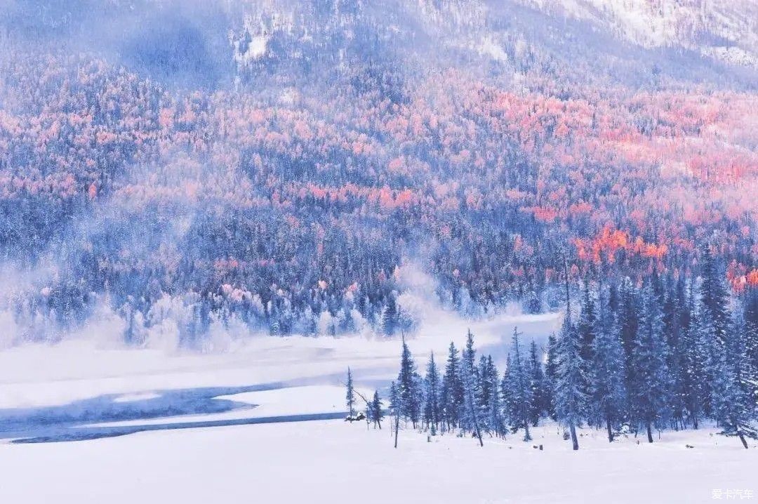 不到过新疆，永远不知道雪有多大。