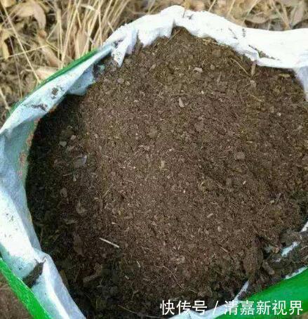 灭菌|养花的土,这样消毒“处理一下”,没有虫子病菌,花草长得旺!